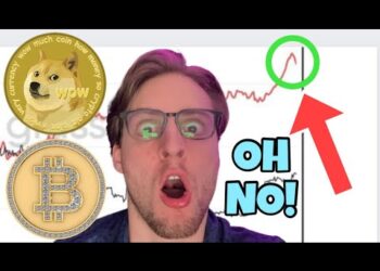 Scary News For Dogecoin and Bitcoin ⚠️