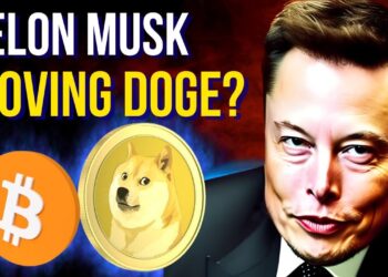 Elon Musk moving DOGECOIN? – PCI DATA IS HERE