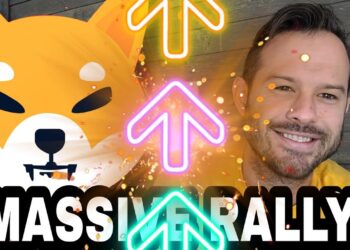 Shiba Inu Coin | SHIB May Have A Massive Rally Incoming!