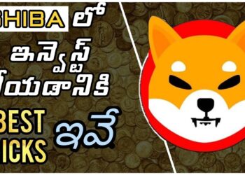 #shiba coin full details in #telugu| #shiba in #telugu| #shiba #bitcoin #cryptocurrency