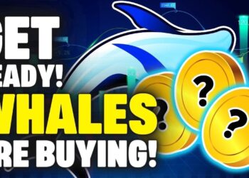Crypto Whales Are Buying These 3 Altcoins…