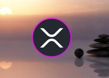 XRP RIPPLE I NEED TO CALM DOWN !!!!!!! FLIP OF THE SWITCH DATE !!!!! $850 BILLION DUMP INCOMING !!!!