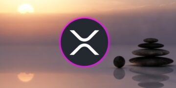 XRP RIPPLE I NEED TO CALM DOWN !!!!!!! FLIP OF THE SWITCH DATE !!!!! $850 BILLION DUMP INCOMING !!!!