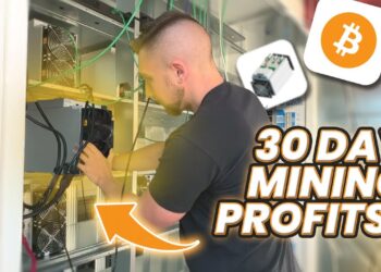 How Much Money I Earned Mining Bitcoin In The Last 30 Days