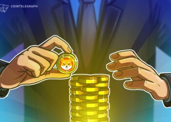 Shiba Inu lead developer queries Coinbase’s ‘Onchain Summer’ campaign