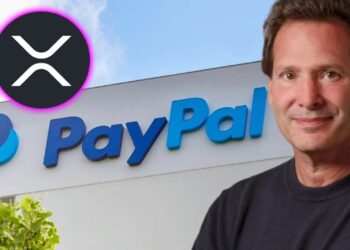 XRP RIPPLE PAYPAL CEO CAUSALLY DROPS XRP BOMBSHELL !!!!!!!!!