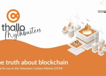 The Truth About Blockchain in Voluntary Carbon Market: Thallo's Mythbuster's Guide