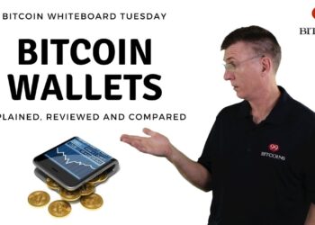 What is a Bitcoin Wallet? (in Plain English)