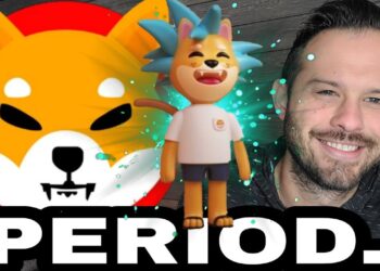 Shiba Inu Coin | SHIB Speculation Surrounding Shytoshi Announcement