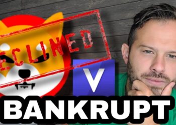 Shiba Inu Coin | Will Voyager And Other Exchanges Steal Our Crypto?