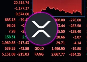XRP RIPPLE TRADING HALT XRP……….