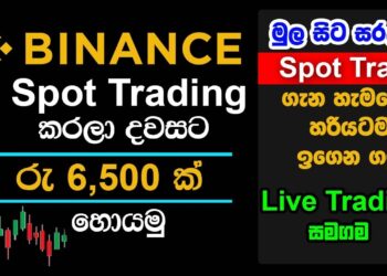Binance Spot Trading A to Z for Beginners Sinhala | Earn Rs.6500.00 per day