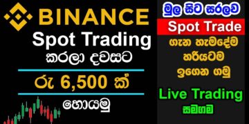 Binance Spot Trading A to Z for Beginners Sinhala | Earn Rs.6500.00 per day