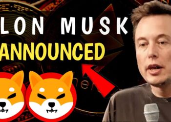 ELON MUSK ANNOUNCED SHIBA WILL HIT $0.30 SOON SHIBA INU COIN NEWS TODAY – PRICE PREDICTION UPDATED