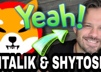 Shiba Inu Coin | Vitalik Buterin and Shytoshi Said This About #SHIB!