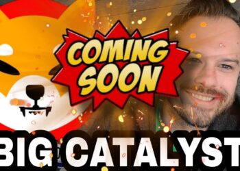 Shiba Inu Coin | Shibarium Could Be Closer Than We Think For SHIB