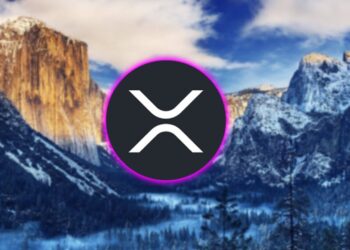 XRP RIPPLE PROBABLY NOTHING………..