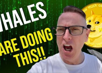 Dogecoin & Shiba Inu Today