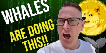 Dogecoin & Shiba Inu Today