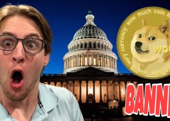 Dogecoin Ban Bill Warning ⚠️