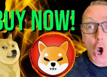 BUY THE DIP – DOGECOIN & SHIBA INU NEWS NOW