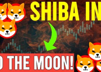 SHIBA INU COIN NEWS TODAY!! SHIBA INU COIN TO THE MOON HUGE PUMP!! SHIB PRICE PREDICTION UPDATED