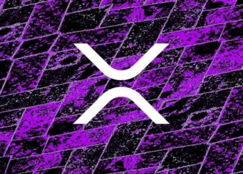 XRP RIPPLE ALL CONNECTED !!!!!!!! UP TO $500 XRP !!!!!!!!