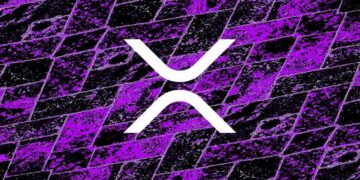 XRP RIPPLE ALL CONNECTED !!!!!!!! UP TO $500 XRP !!!!!!!!