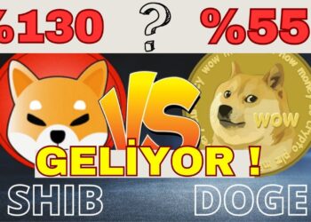 #SHİBAİNU coin STAKE ! Hedef Neresi ? Analiz ve Yorum I #xrpcoin #dogecoinnewsupdate