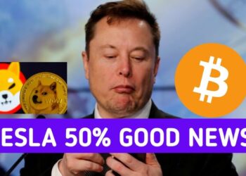 Tesla 50% Good News ! Hold for कुछ दिन? Shiba Inu Coin News Today and Shiba inu Price Prediction |